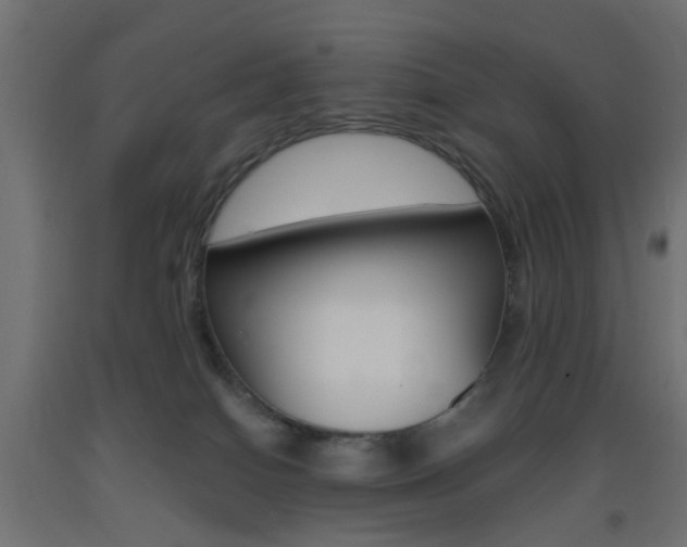 X0000093450086200710121014
