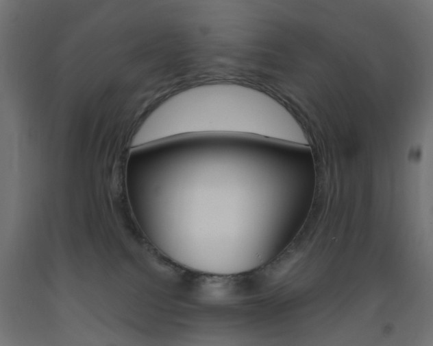 X0000093450088200710121014