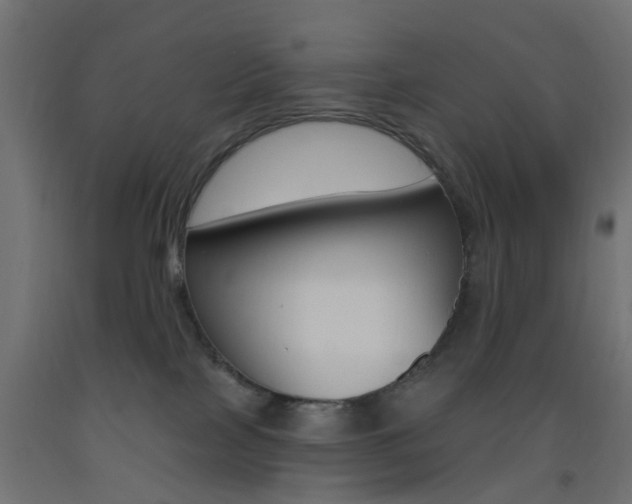 X0000093450089200710121014