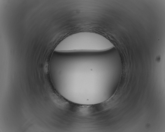 X0000093450090200710121014