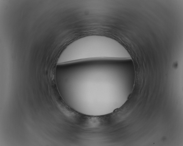 X0000093450091200710121015