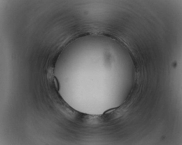 X0000093450093200710121015