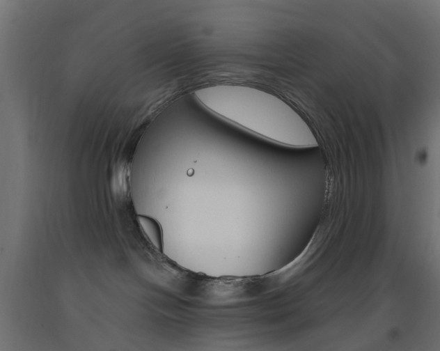 X0000093450094200710121015