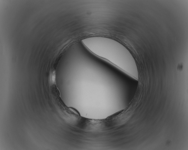 X0000093450095200710121015
