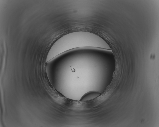 X0000093450096200710121015