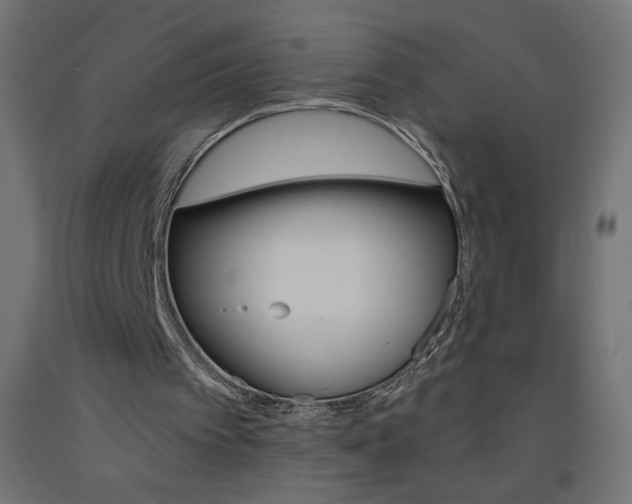 X0000093450097200710121014
