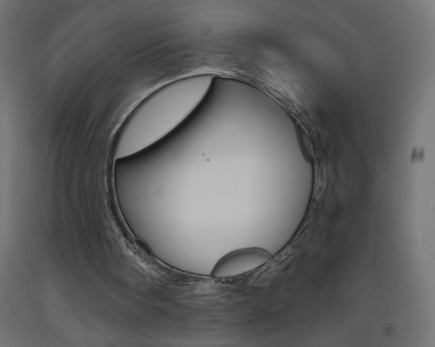 X0000093450098200710121014