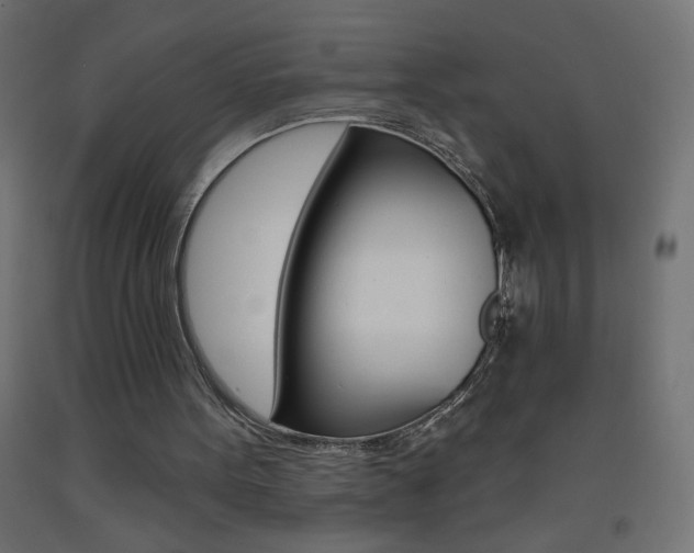 X0000093450099200710121014