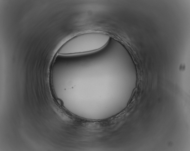 X0000093450100200710121014