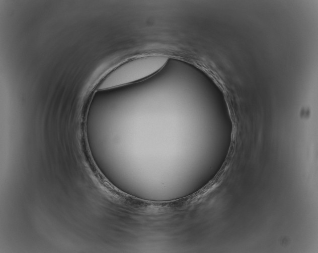 X0000093450101200710121014