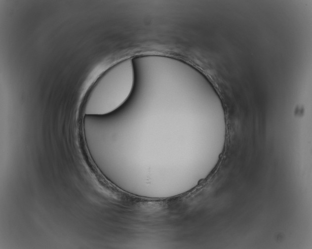 X0000093450102200710121014