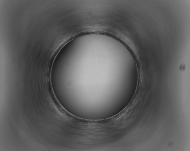 X0000093450105200710121014