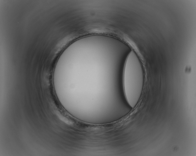 X0000093450106200710121014