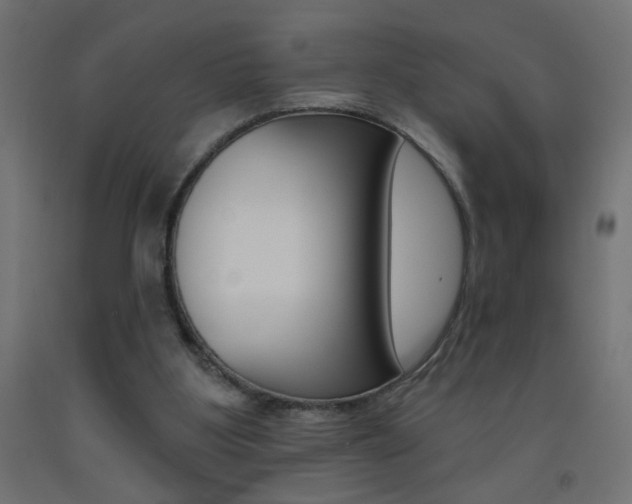 X0000093450107200710121014