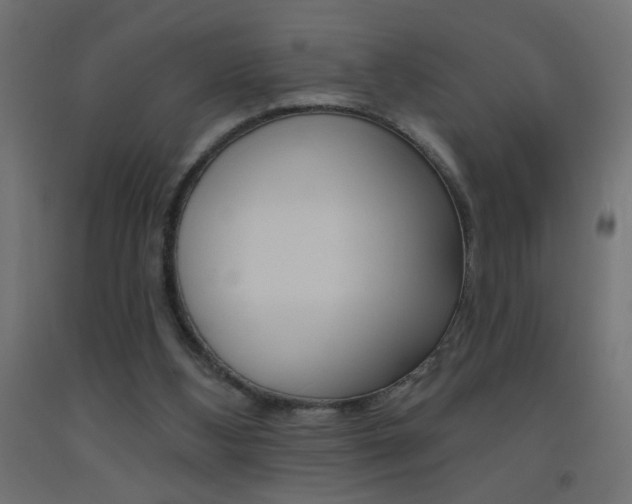 X0000093450108200710121014