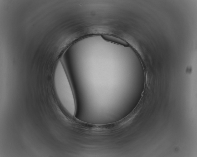 X0000093450109200710121014