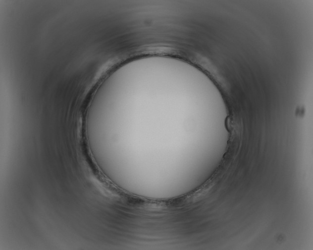 X0000093450110200710121014