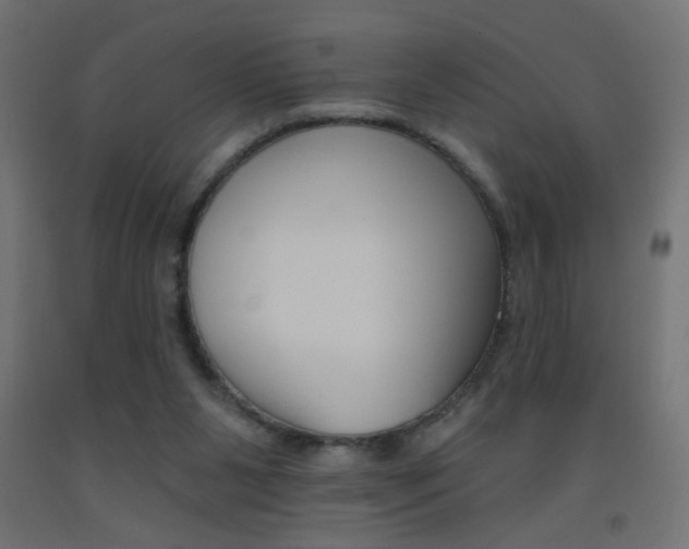 X0000093450111200710121014