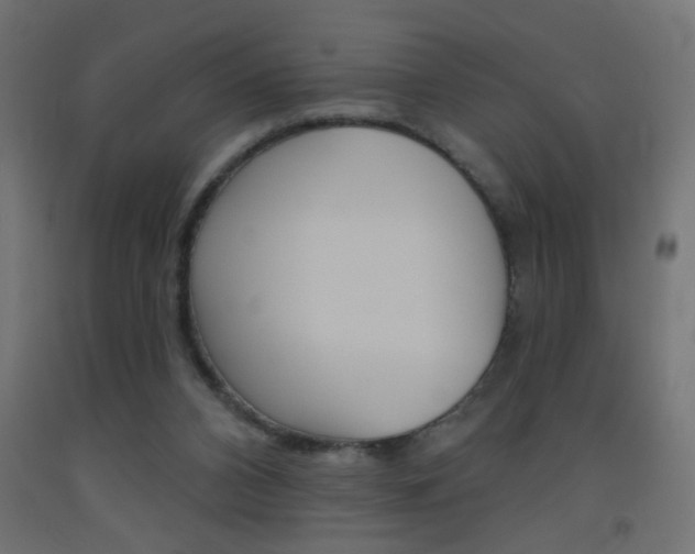X0000093450112200710121014
