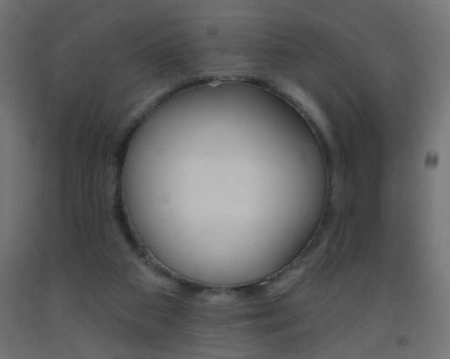 X0000093450113200710121014