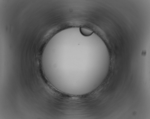 X0000093450114200710121014