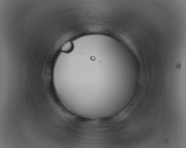 X0000093450116200710121014