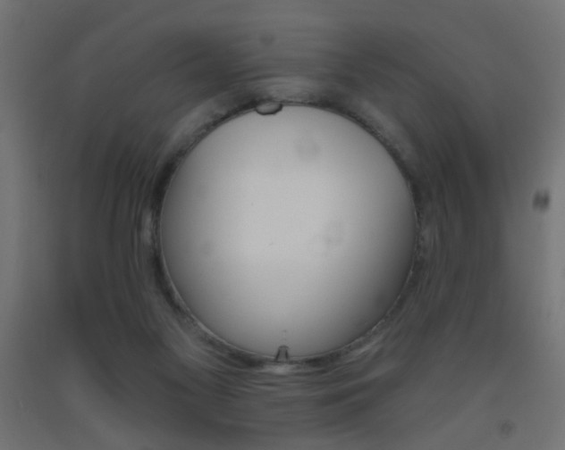 X0000093450117200710121014