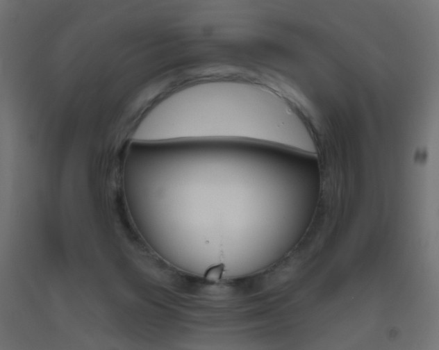 X0000093450119200710121014