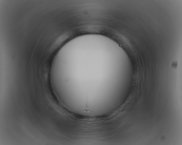 X0000093450120200710121014