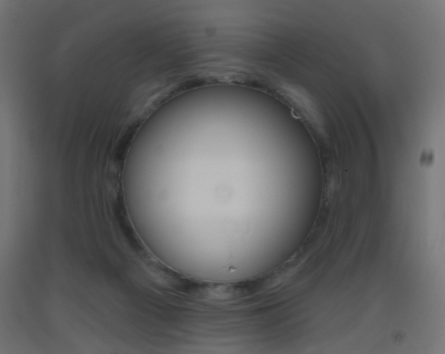 X0000093450121200710121014