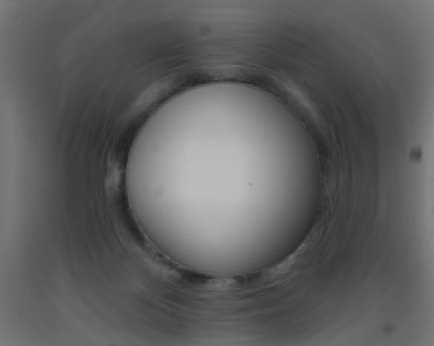 X0000093450124200710121014