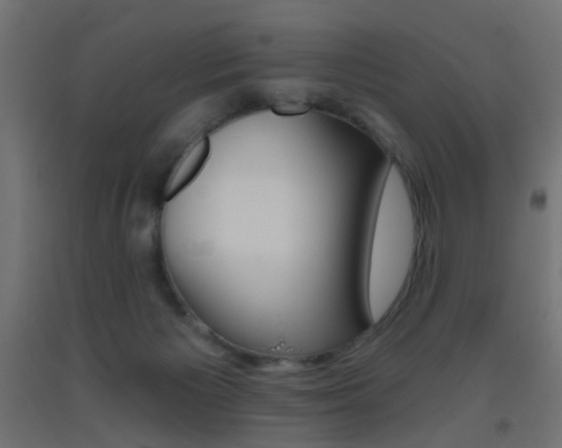 X0000093450125200710121014