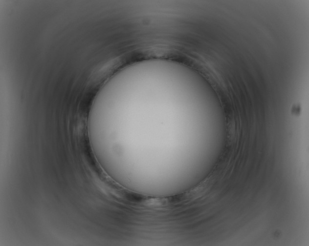 X0000093450126200710121014