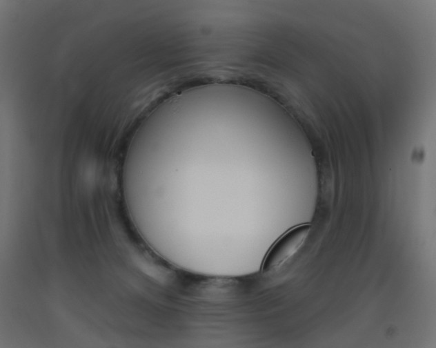X0000093450128200710121014