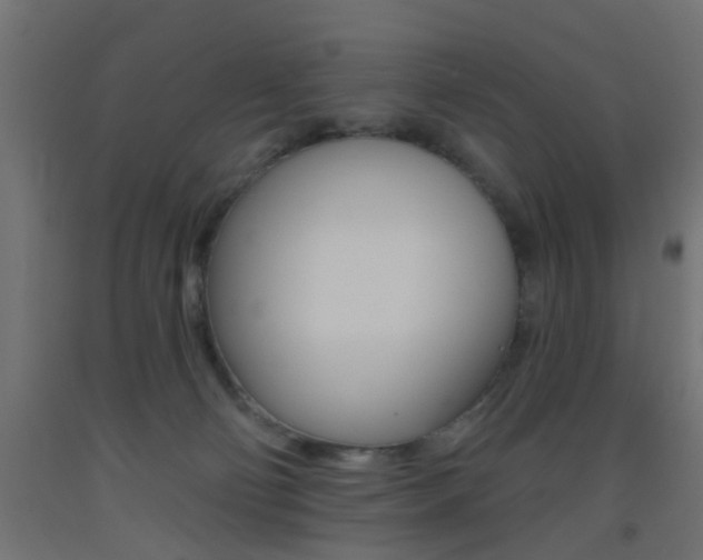 X0000093450130200710121014