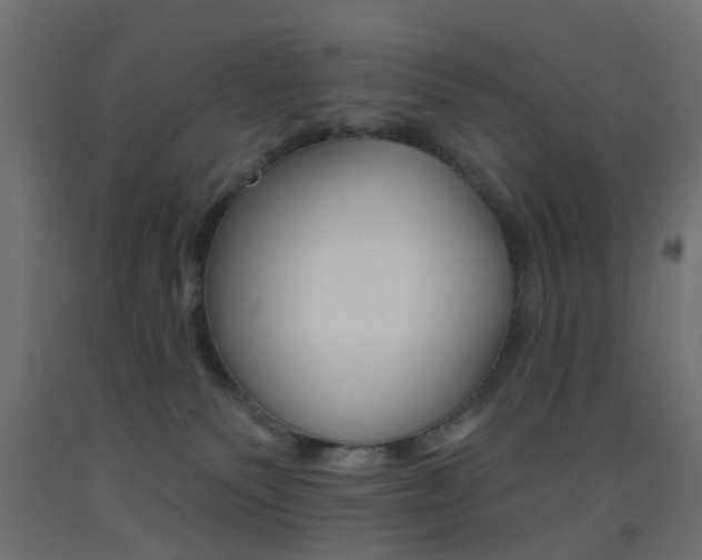 X0000093450135200710121013
