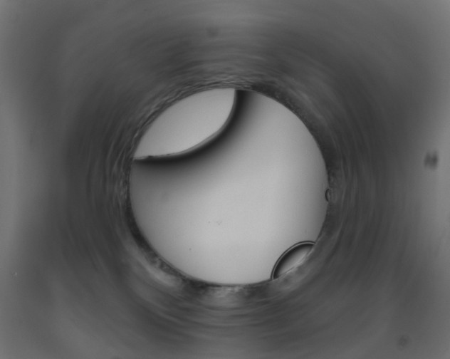 X0000093450136200710121013