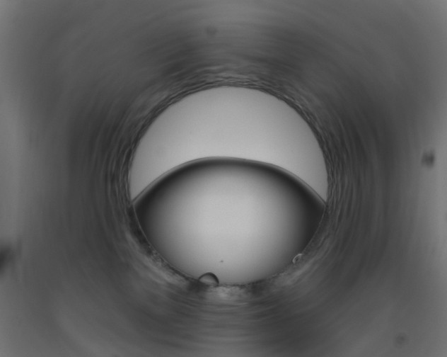 X0000093450137200710121013