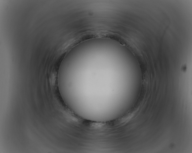 X0000093450139200710121013