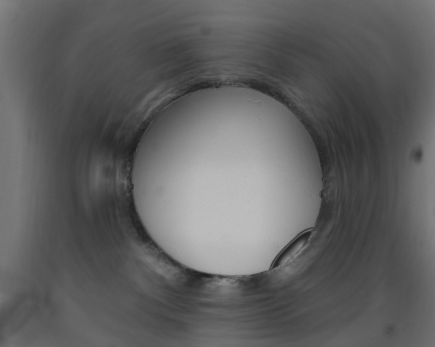 X0000093450140200710121013