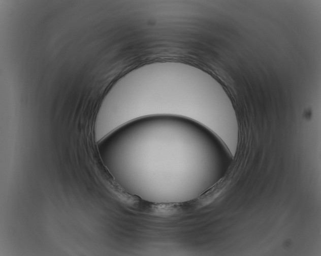 X0000093450141200710121013
