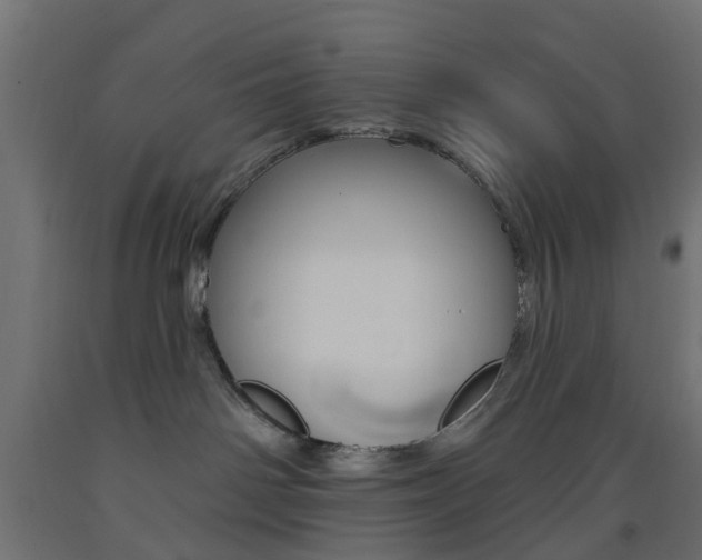 X0000093450142200710121013