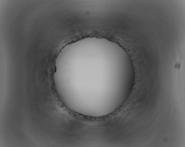X0000093450144200710121013