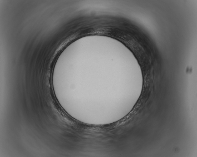 X0000093450146200710121013