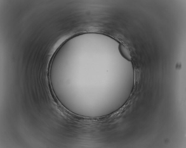 X0000093450147200710121013