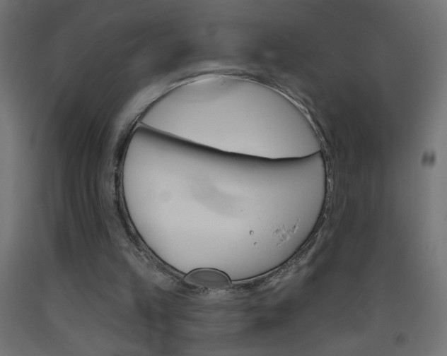 X0000093450149200710121013