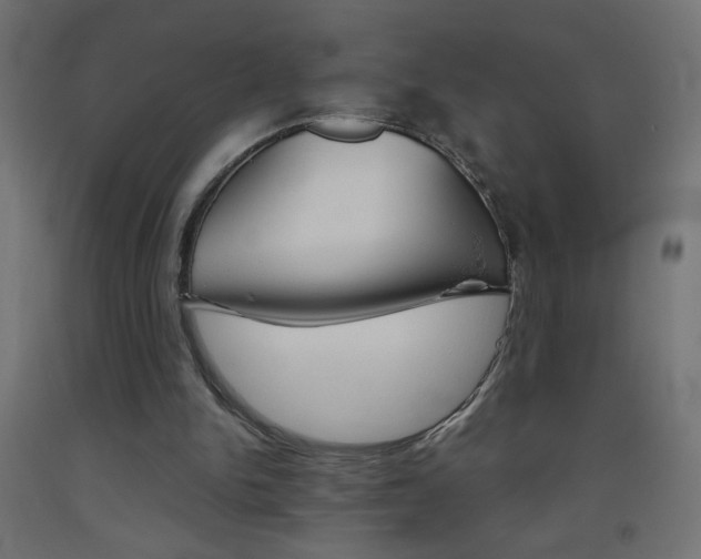 X0000093450150200710121013