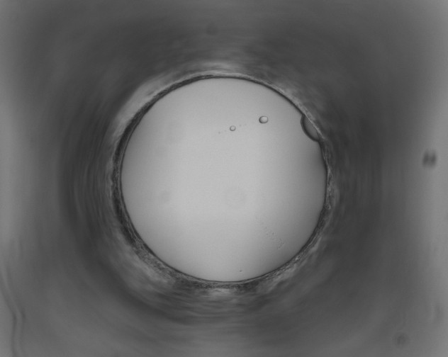X0000093450151200710121013