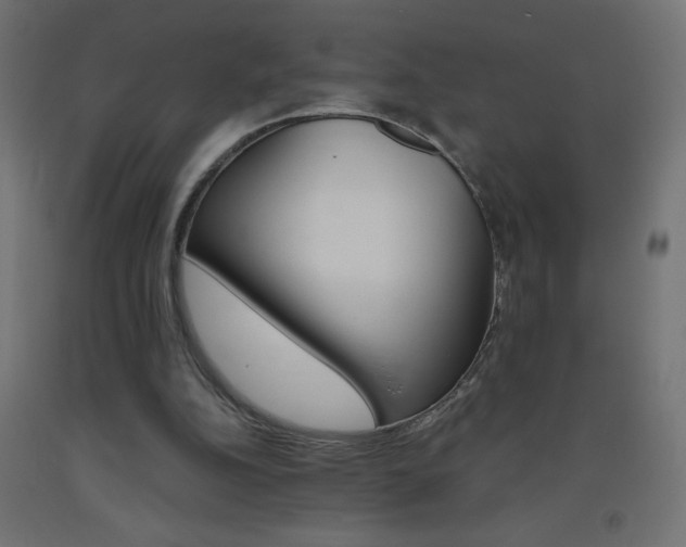 X0000093450152200710121013
