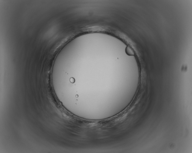 X0000093450153200710121013